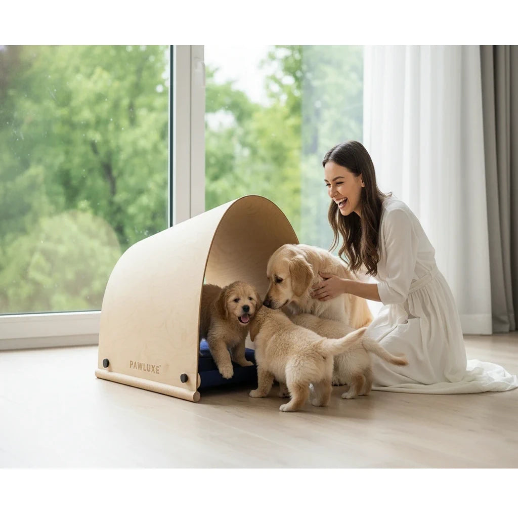 PawLuxe® AURA