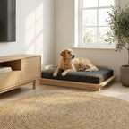 PawLuxe® Orion