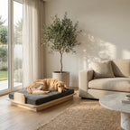 PawLuxe® Orion
