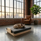 PawLuxe® Orion