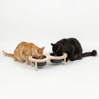 PawLuxe® Dine - Arch