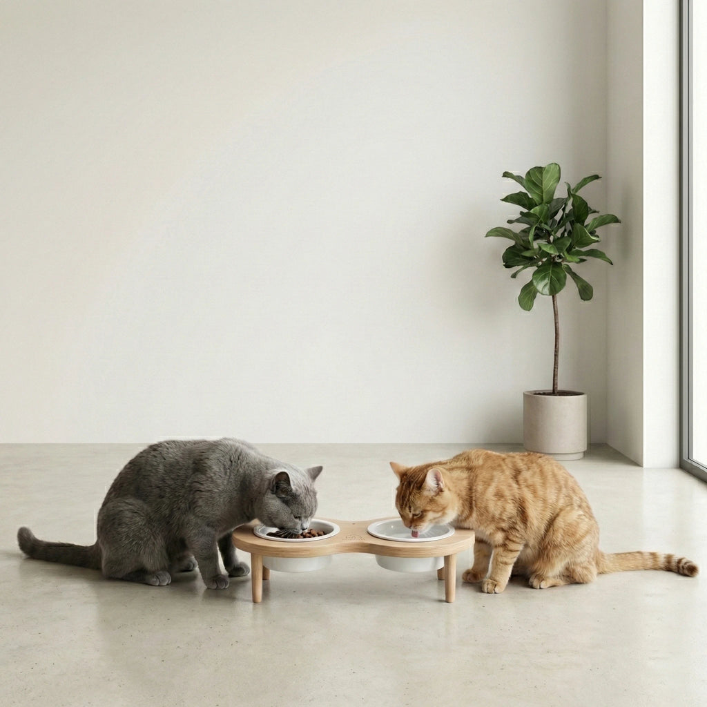 PawLuxe® Dine - Arch