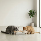 PawLuxe® Dine - Arch
