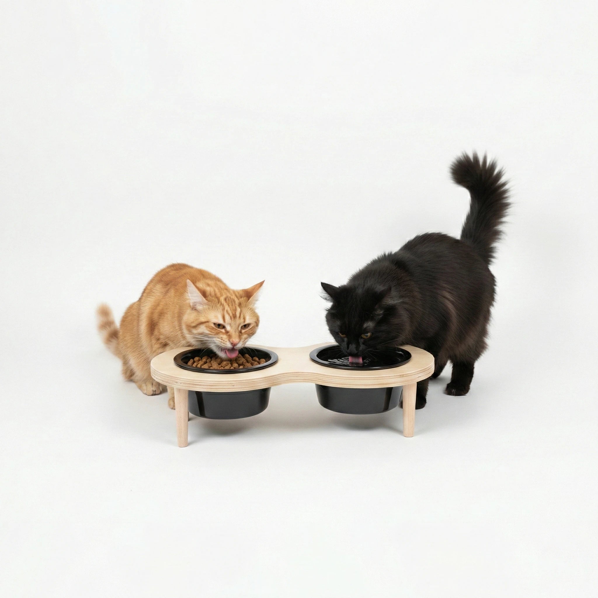 PawLuxe® Dine - Arch