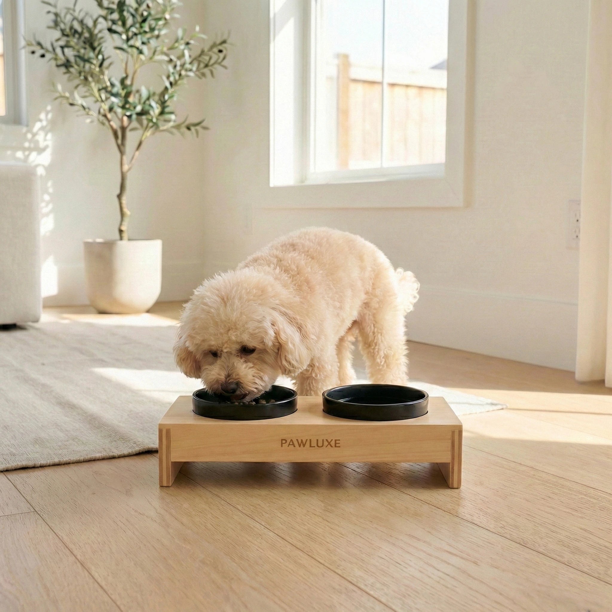 PawLuxe® Dine - Frame