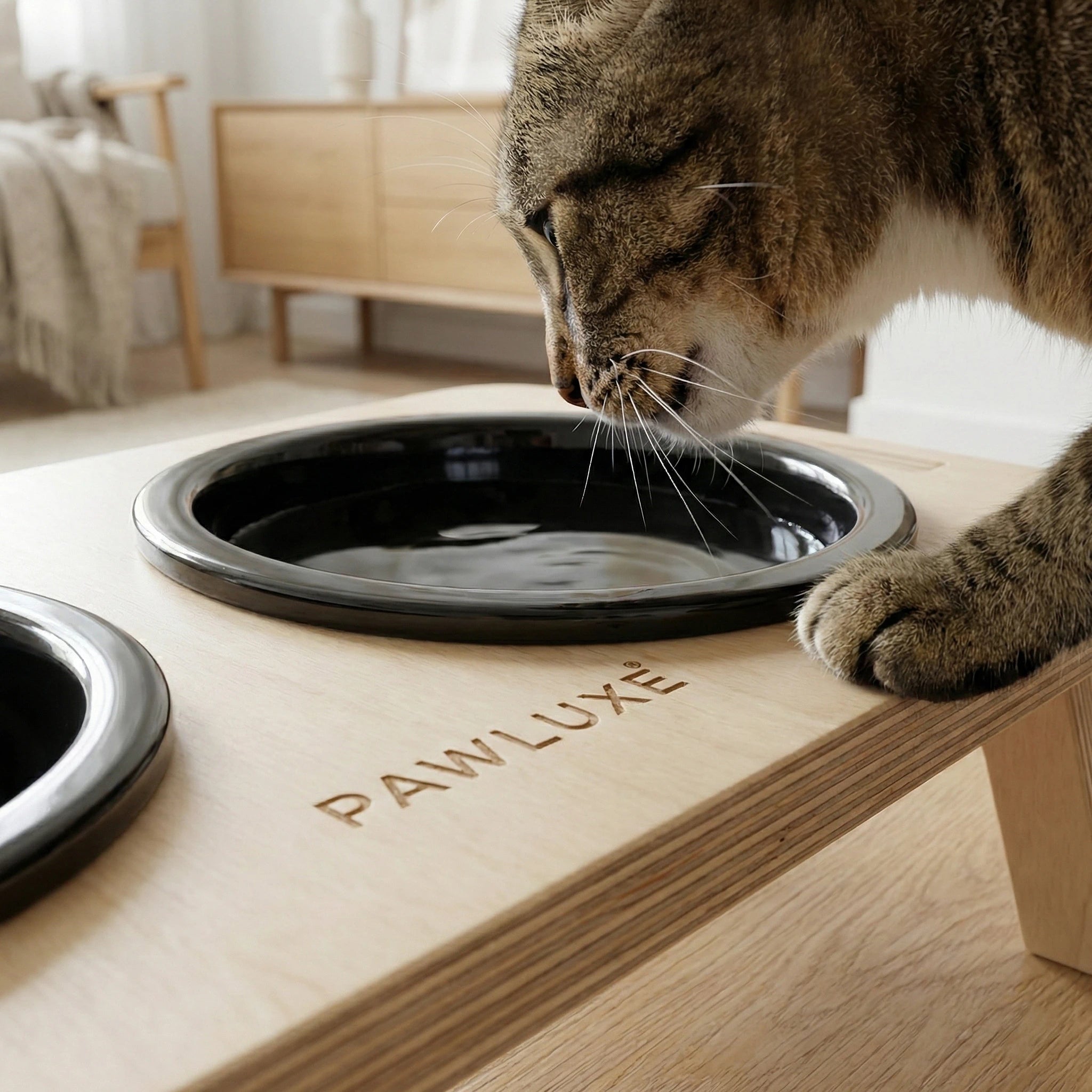 PawLuxe® Dine - Linear