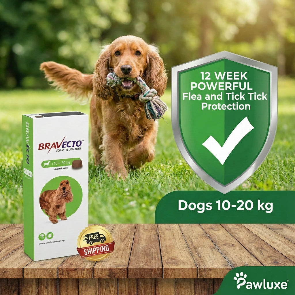 Bravecto Chewable Tablet for Dogs - Flea & Tick Protection