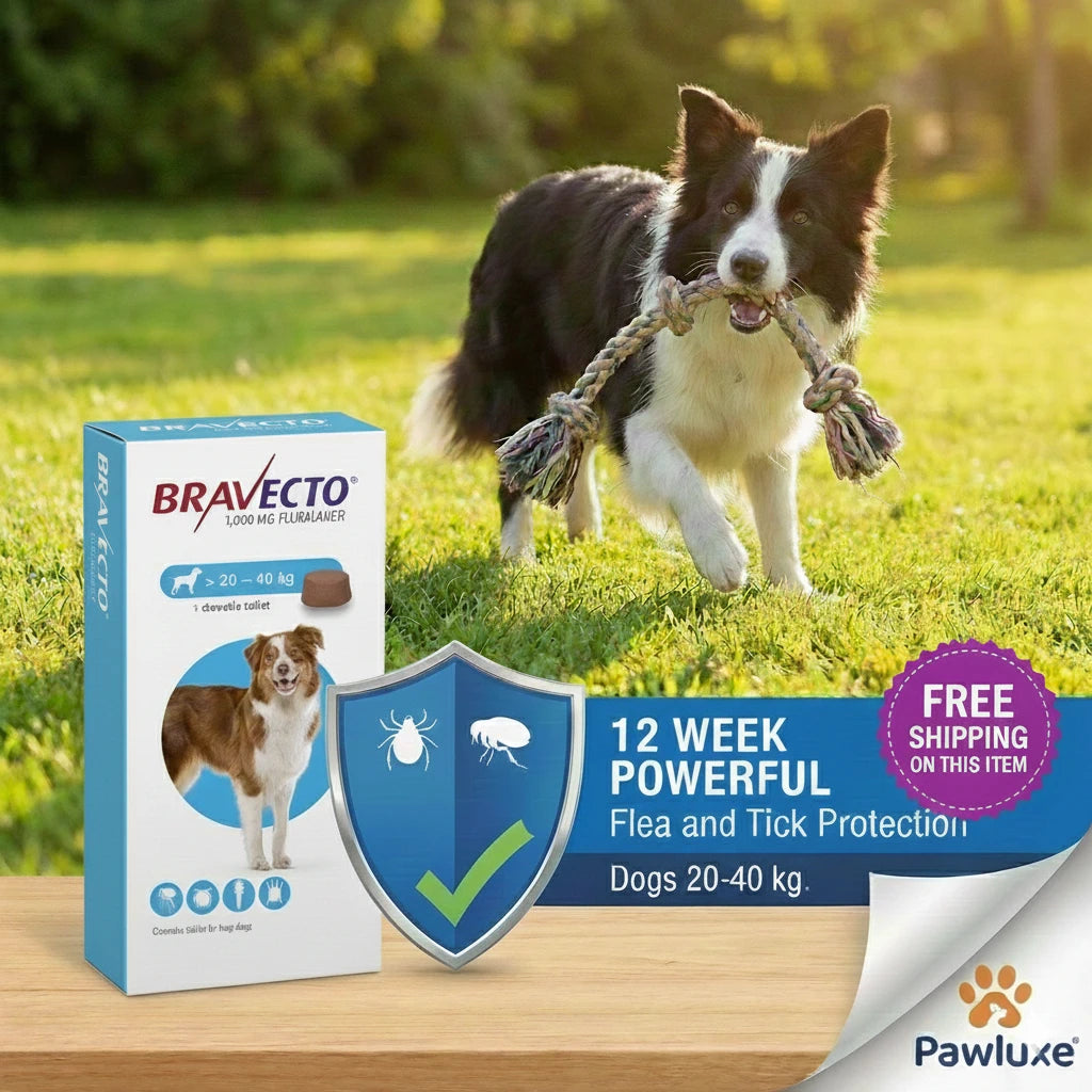 Bravecto Chewable Tablet for Dogs - Flea & Tick Protection