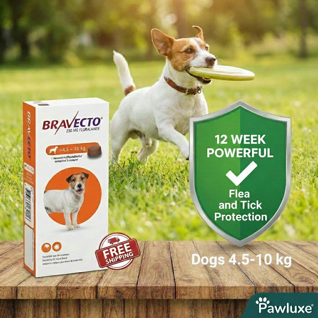 Bravecto Chewable Tablet for Dogs - Flea & Tick Protection