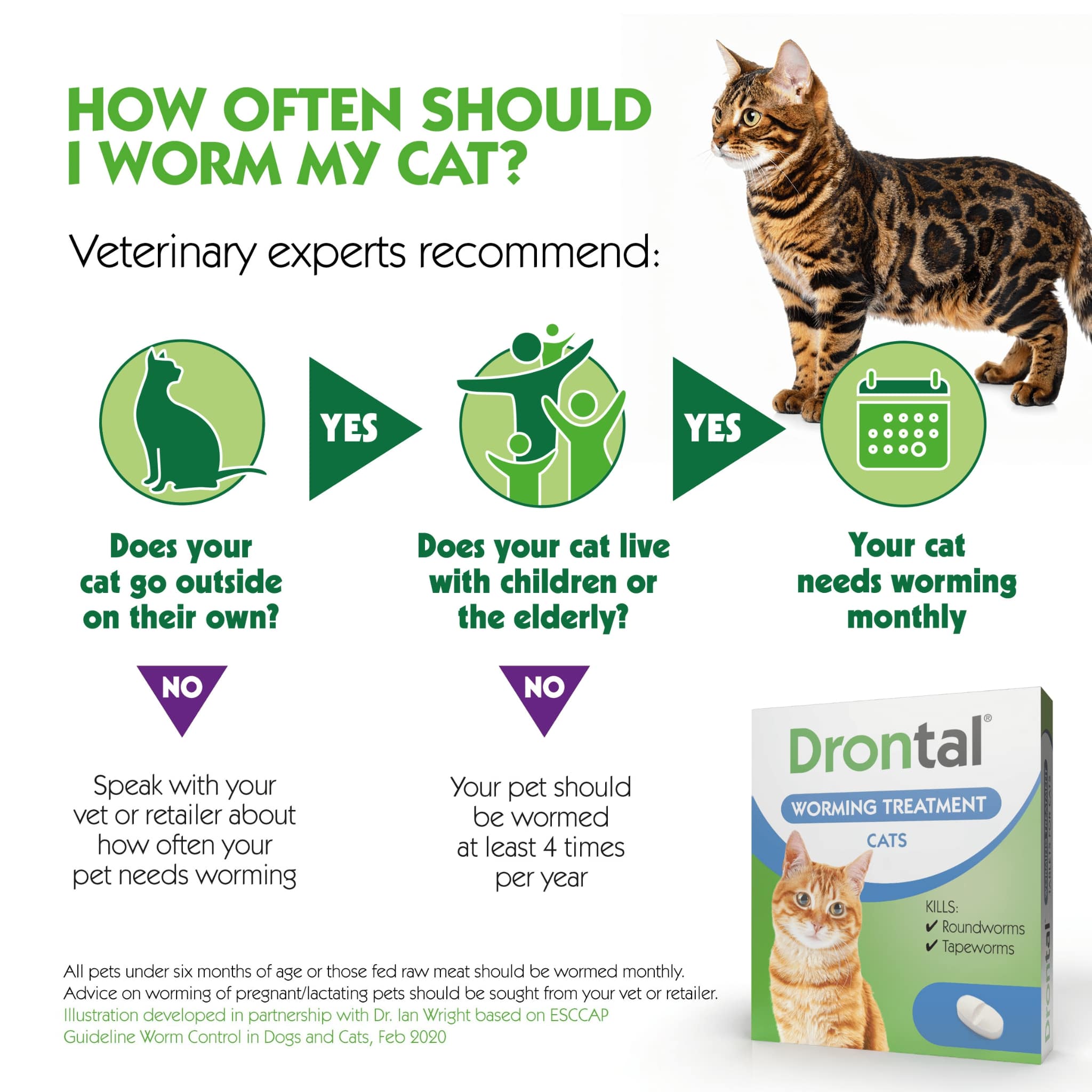 Drontal® Cat Deworming Tablets