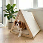 PawLuxe® TUTO