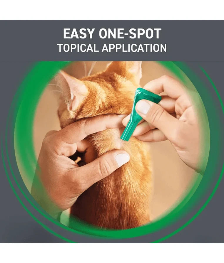 Frontline Combo Spot-On for Cats Flea & Tick Treatment