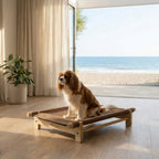 PawLuxe® Elara