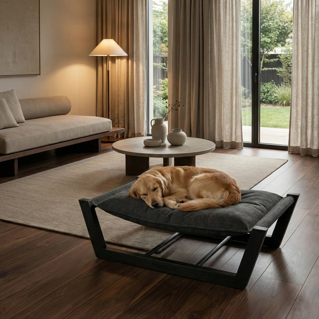PawLuxe® Onyx