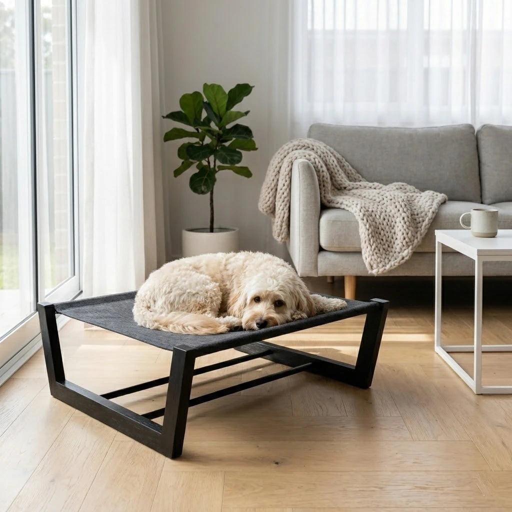 PawLuxe® Onyx