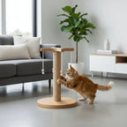 PawLuxe® ORBIT