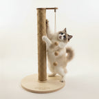 PawLuxe® ARIS Classic
