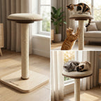 PawLuxe® LYRA Signature