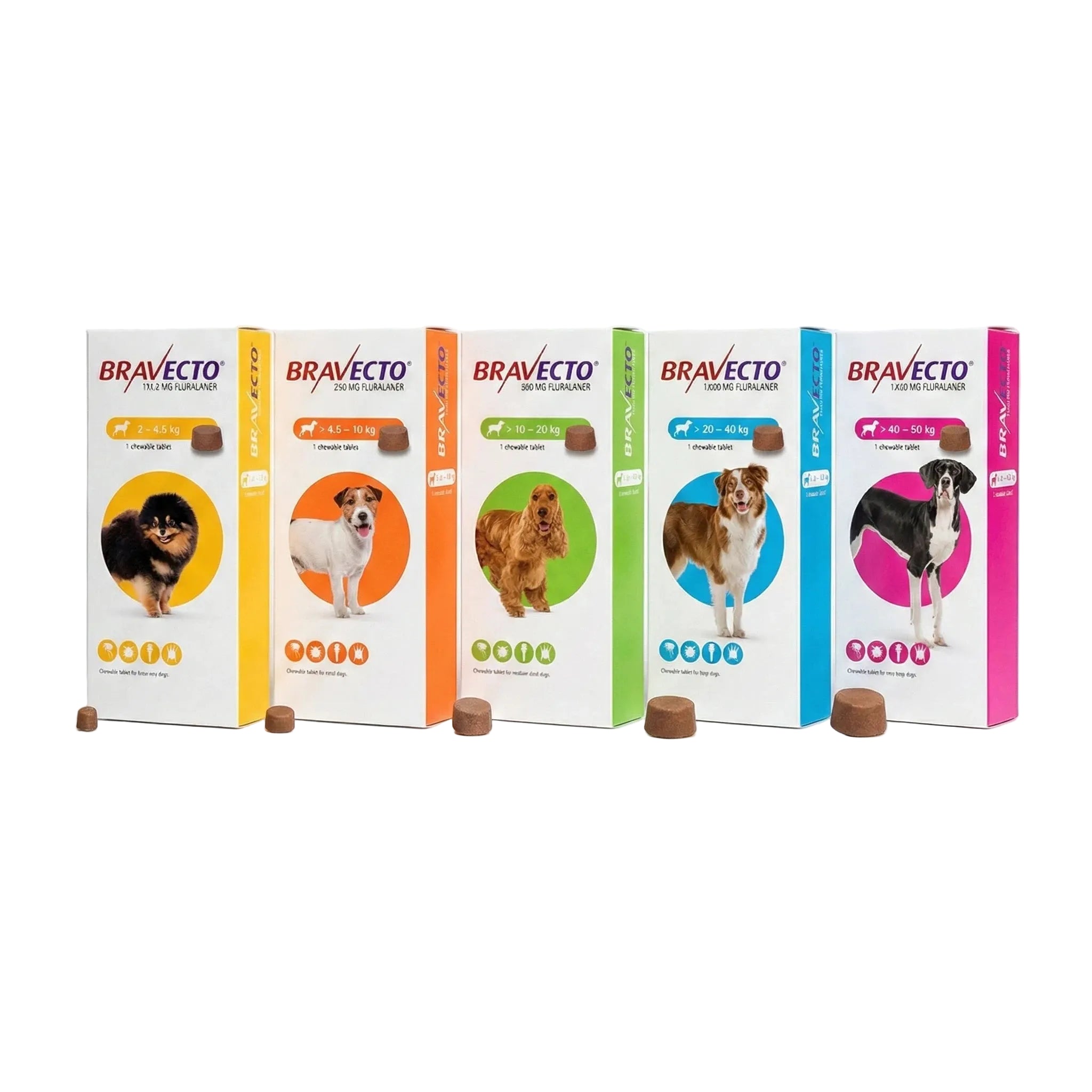 Bravecto Chewable Tablet for Dogs - Flea & Tick Protection