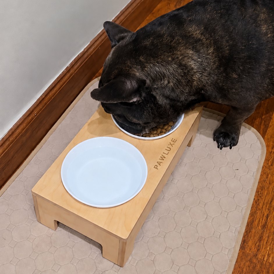 Filfil eating from FRAME