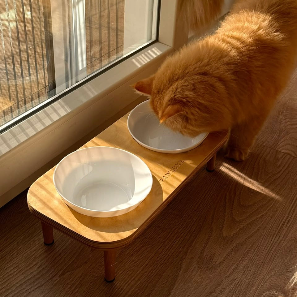 Mealtime on LINEAR at Mocha and Loza's home, two white ceramic bowls set into the top by a sunlit window.